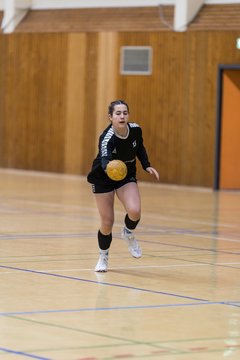 Bild 229 - wBJ TSV Ellerau - HSG Stoertal Hummeln : Ergebnis: 26:19